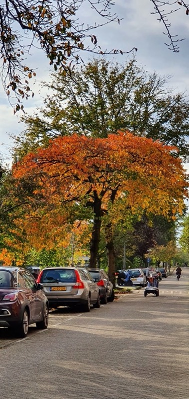 De Pijp Food Crawl - 3